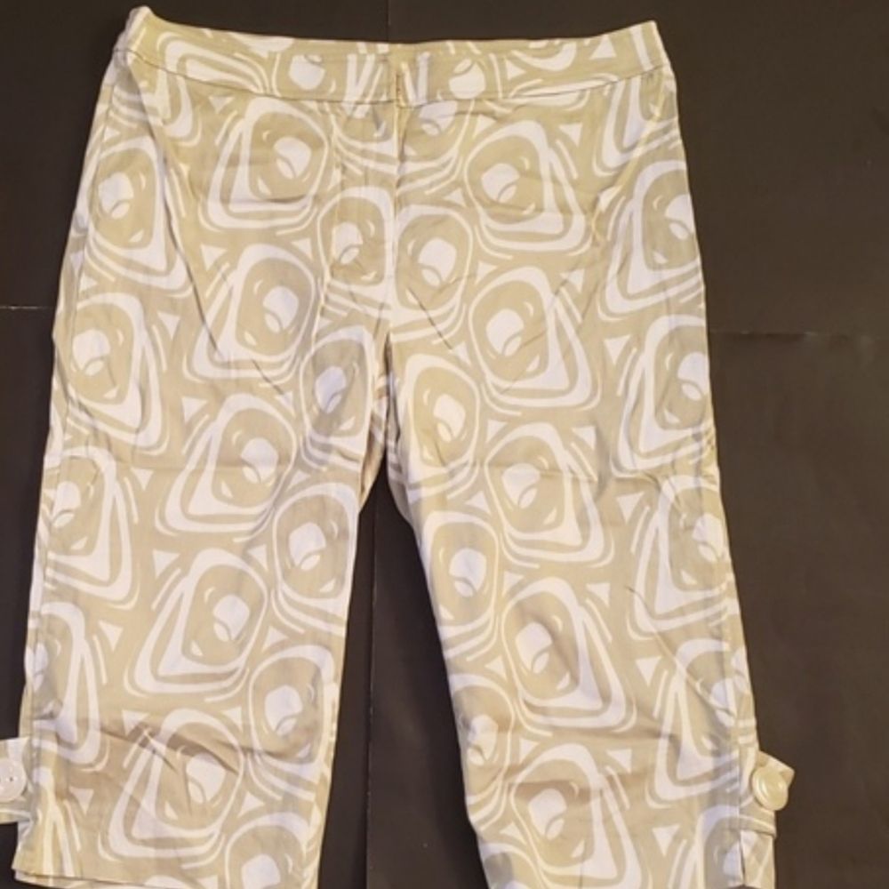 🩵DONNA DEGNAN women's 12 green and white capri pants